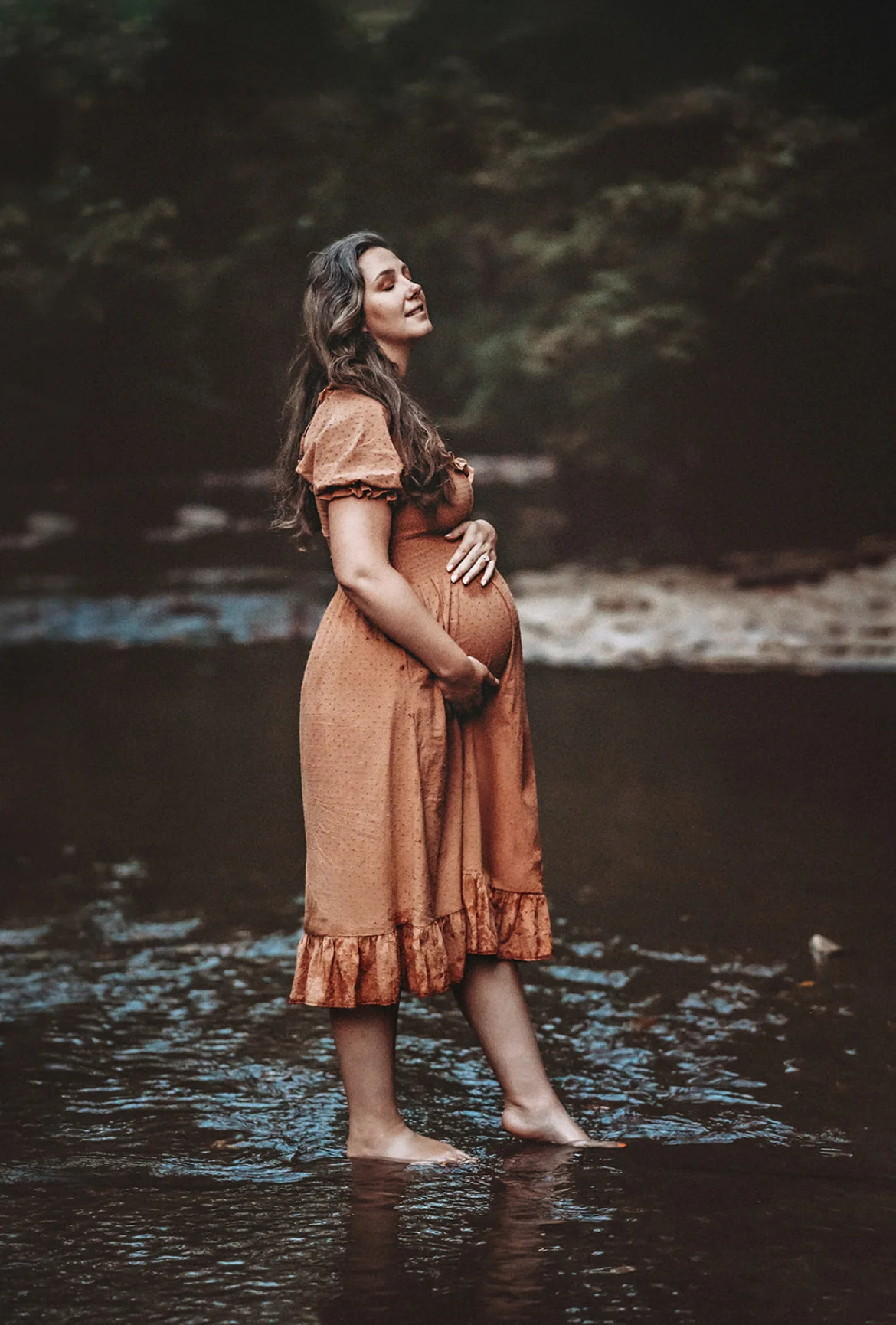 Harper Maternity and Nursing Dress - Image 7
